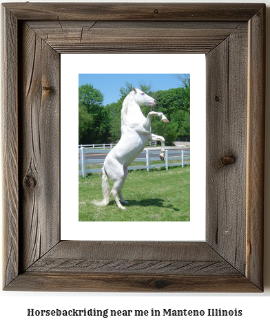 horseback riding near me in Manteno, Illinois